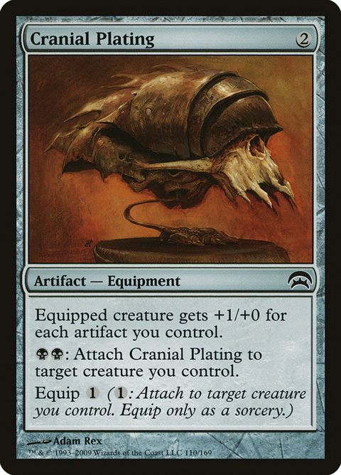 110-cranialplating