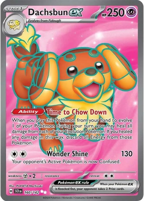 160-dachsbunex