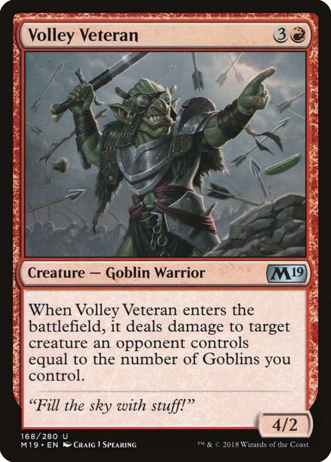 168-volleyveteran