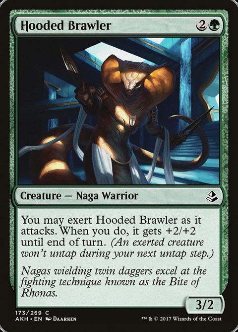 173-hoodedbrawler