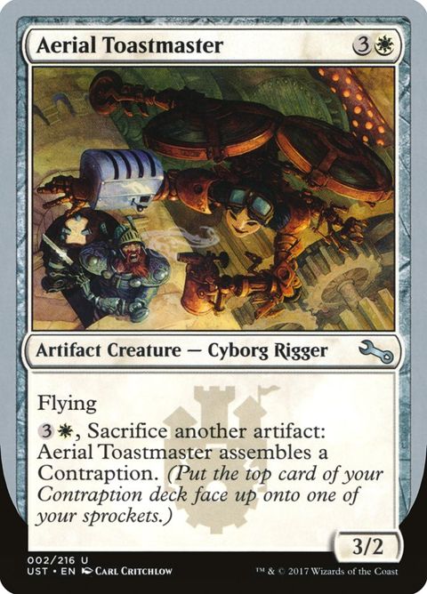 2-aerialtoastmaster