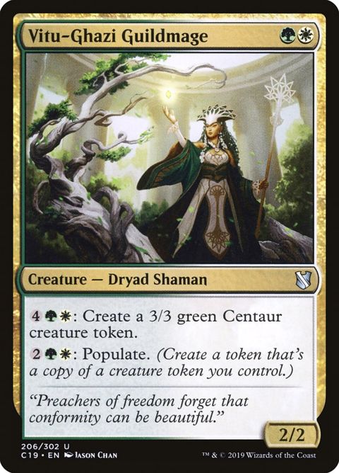 206-vitughaziguildmage
