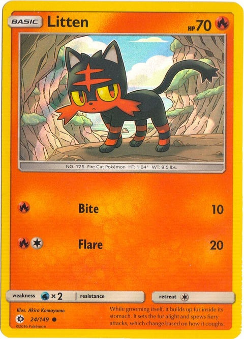 24-litten-waterwebholo