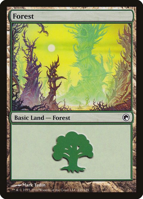 248-forest