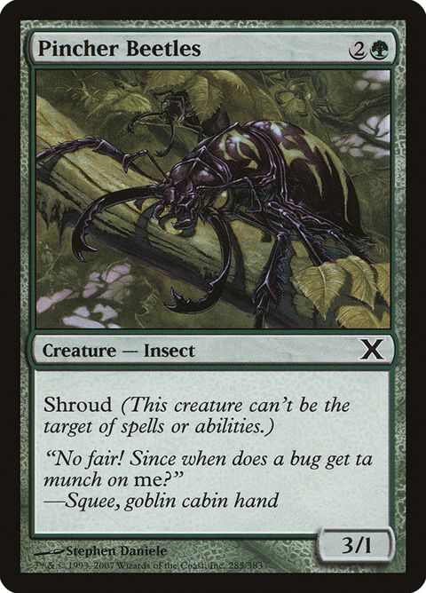 285-pincherbeetles