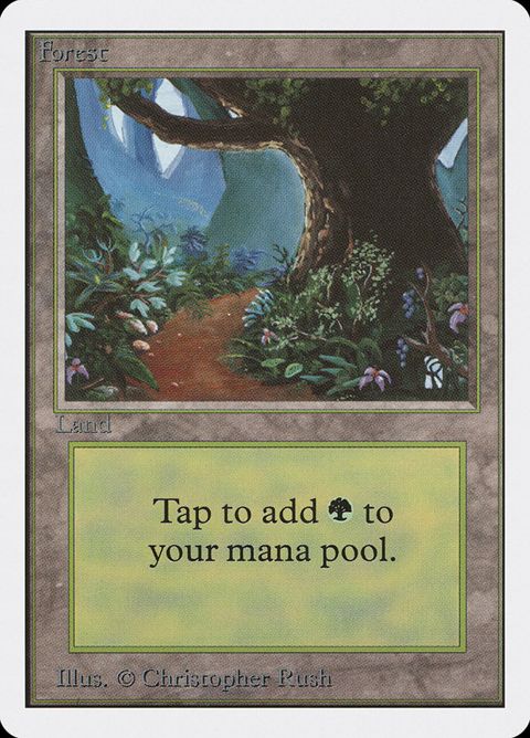 301-forest
