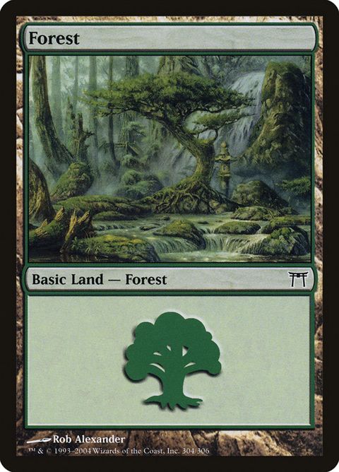 304-forest
