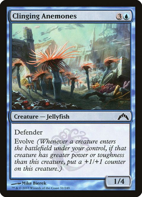 31-clinginganemones