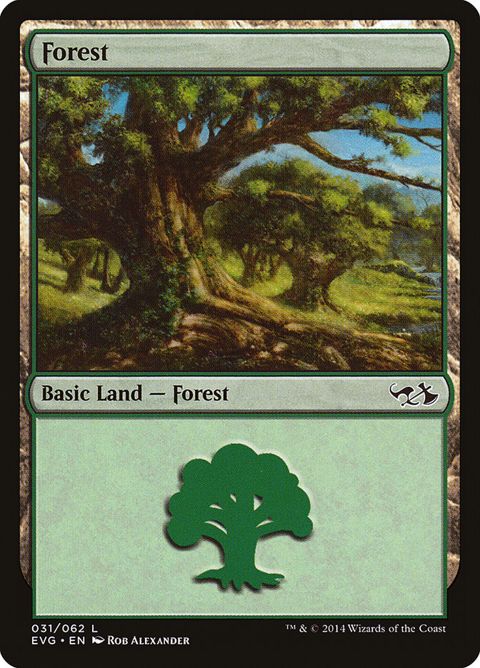 31-forest