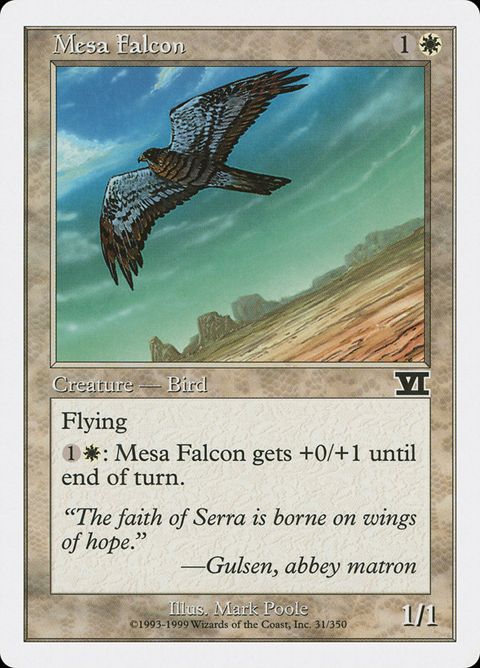 31-mesafalcon