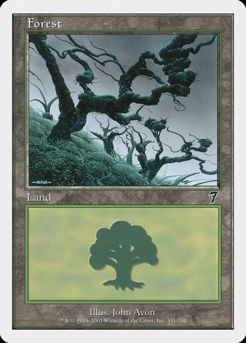 331-forest