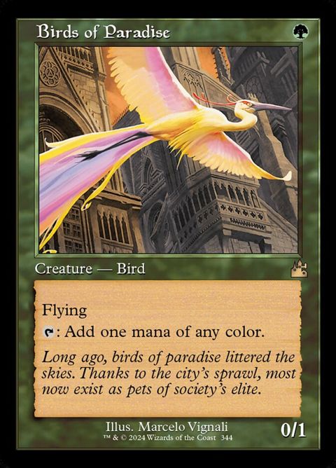 344-birdsofparadise