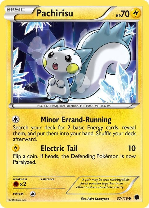 37-pachirisu
