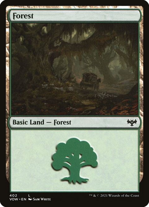 402-forest