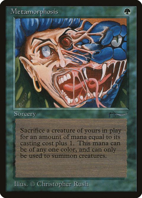 51-metamorphosis