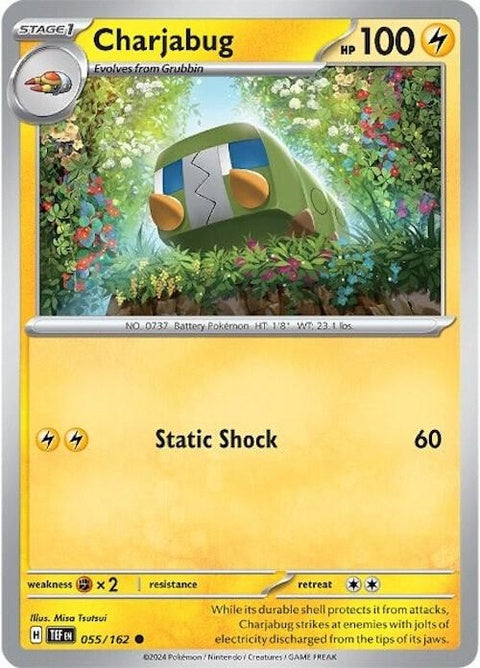 55-charjabug