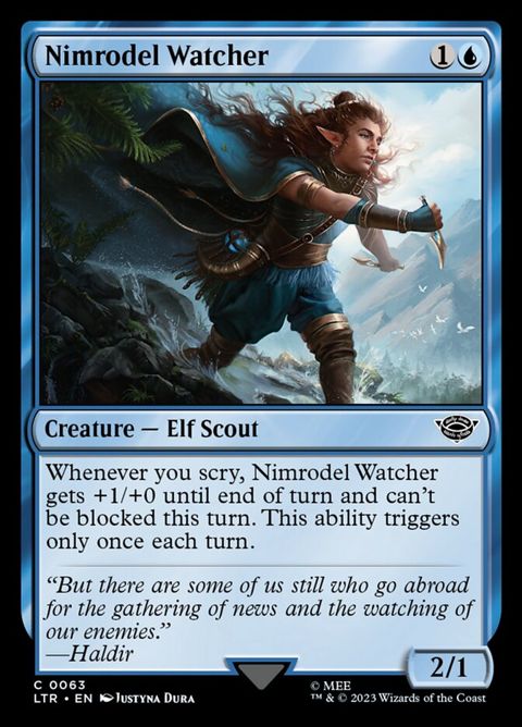 63-nimrodelwatcher
