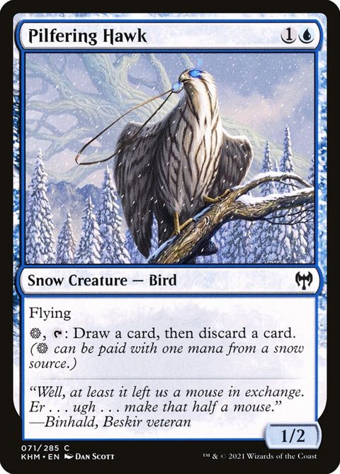 71-pilferinghawk