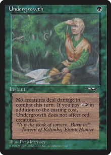 102a-undergrowth