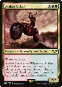 105-atalanjackal