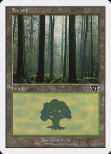 106-forest