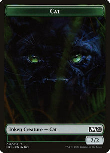 11-cat