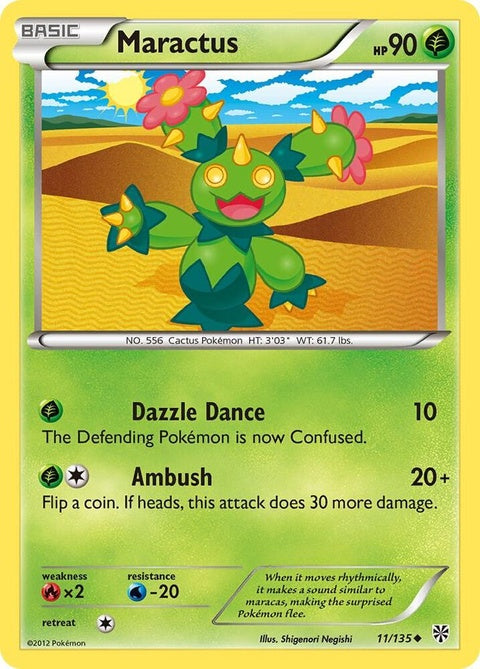 11-maractus