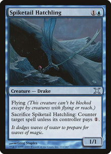 111-spiketailhatchling