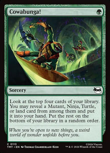 113-cowabunga