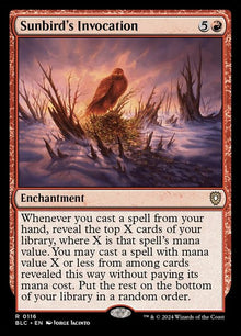 116-sunbirdsinvocation
