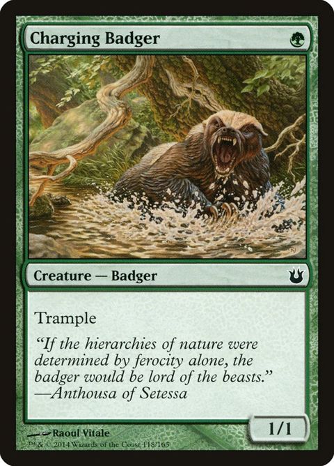 118-chargingbadger