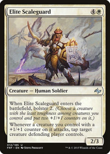 12-elitescaleguard