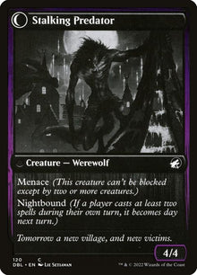 120-shadytravelerstalkingpredator-b