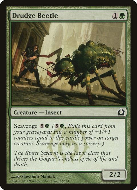 122-drudgebeetle
