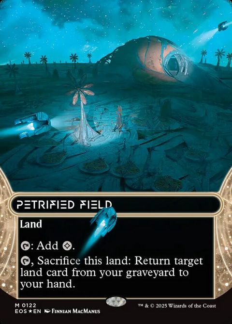 122-petrifiedfield