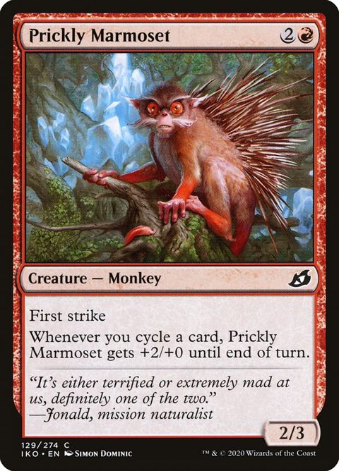 129-pricklymarmoset