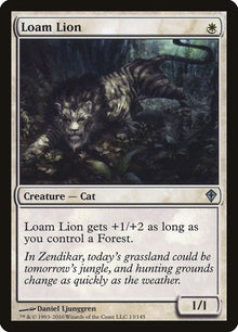13-loamlion