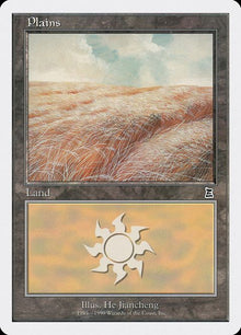 131-plains