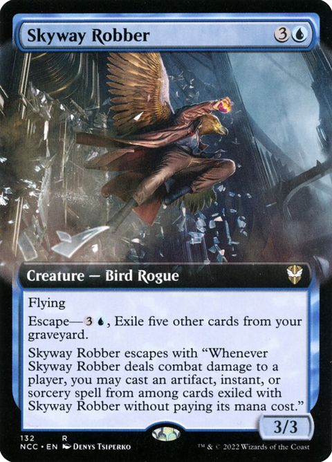 132-skywayrobber