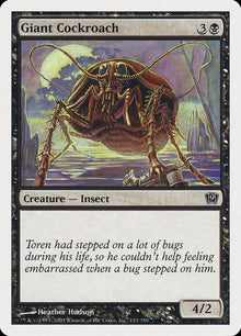 133-giantcockroach
