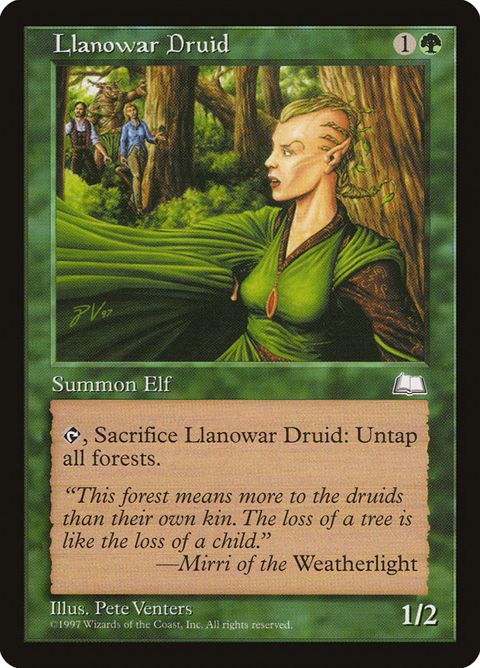133-llanowardruid