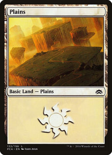 133-plains