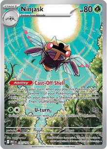 137-ninjask