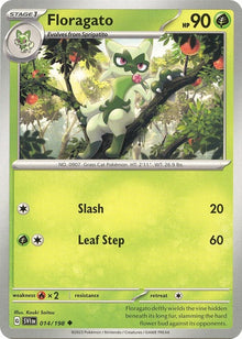 14-floragato