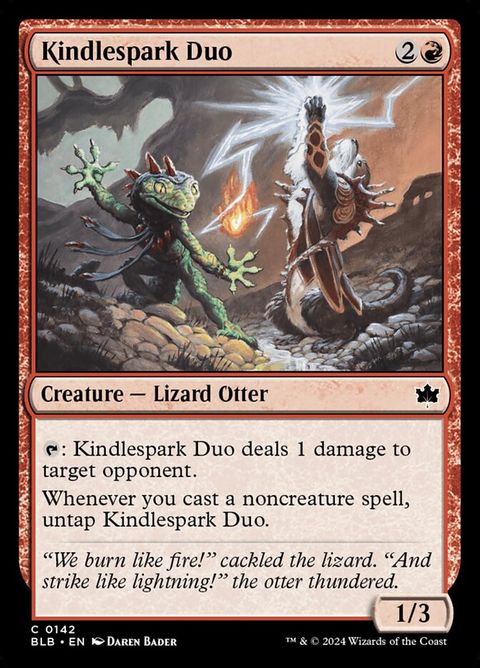 142-kindlesparkduo
