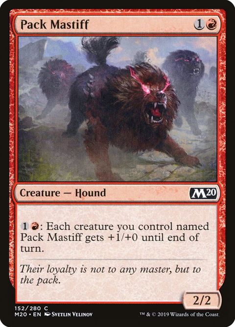 152-packmastiff