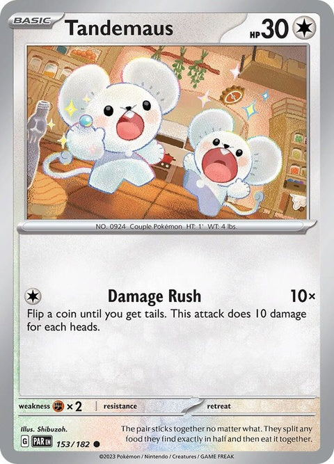 153-tandemaus