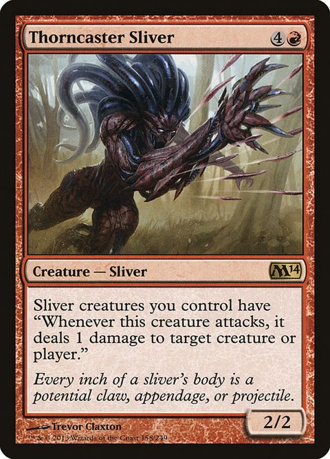 158-thorncastersliver