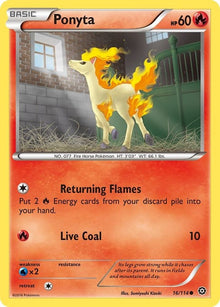 16-ponyta