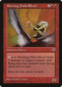161-burningpalmefreet